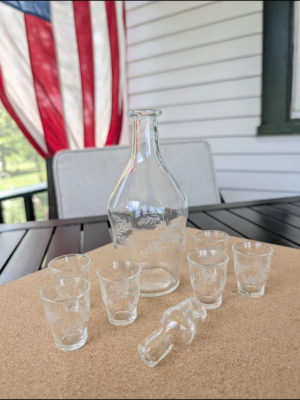 Vintage Italian Etched Glass Decanter With 6 Shot Glass Set